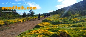 mascun guara descenso cañones barrancos arroila jaitsiera menditxik guías de montana barrancos mendi arroila gidariak 1