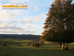 Curso de Cartografía y Orientación | Orientazio eta kartografia ikastaroa  