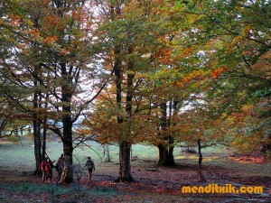 Curso de Cartografía y Orientación | Orientazio eta kartografia ikastaroa  