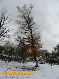 Curso de Cartografía y Orientación | Orientazio eta kartografia ikastaroa  